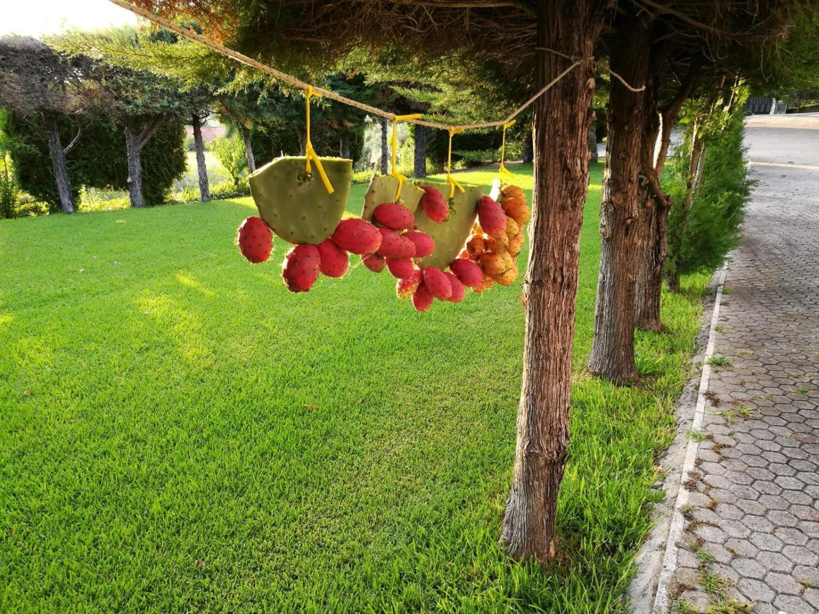 Residenza Giancesare Family Apartments Paestum Exterior foto