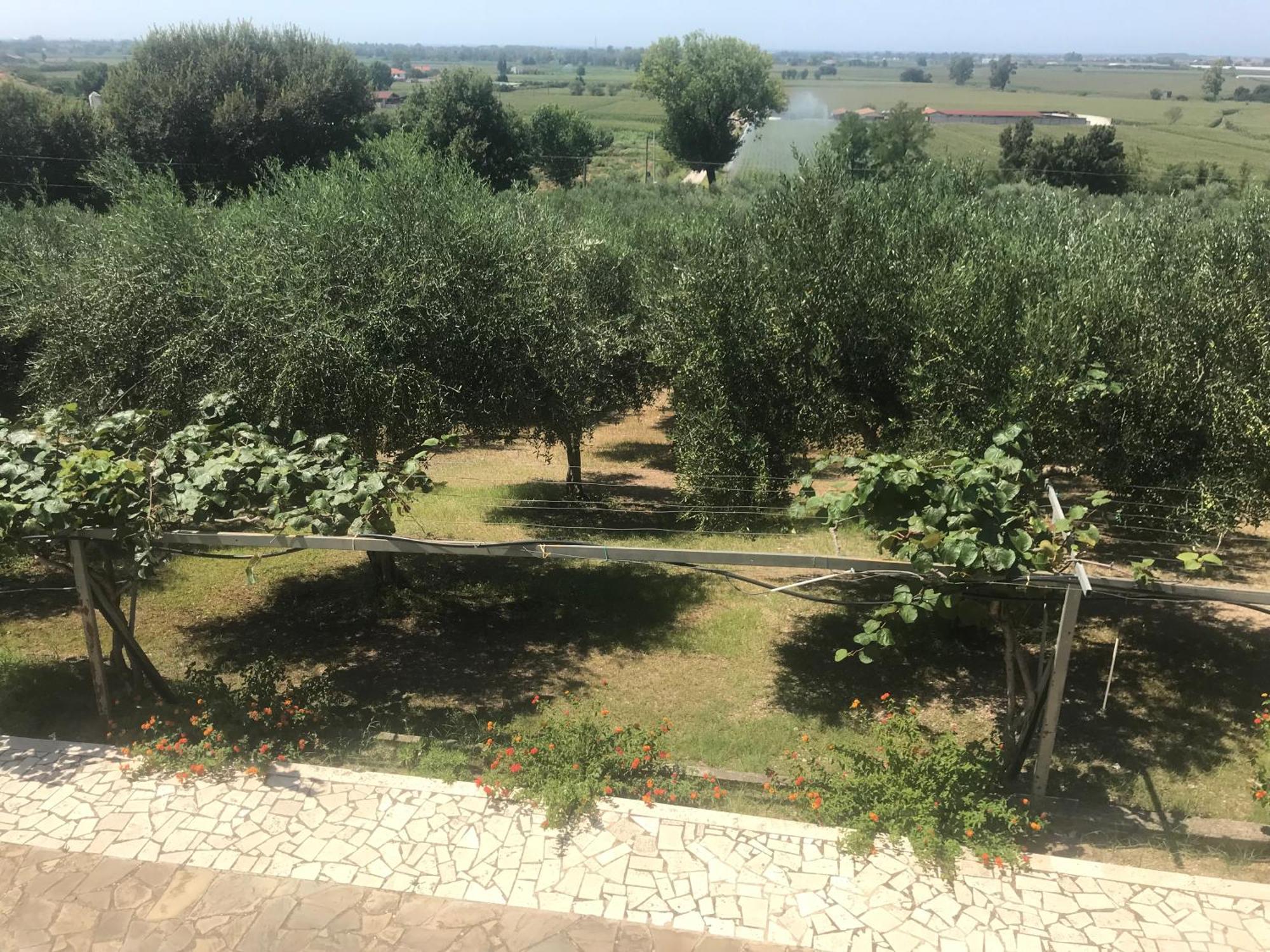 Residenza Giancesare Family Apartments Paestum Exterior foto